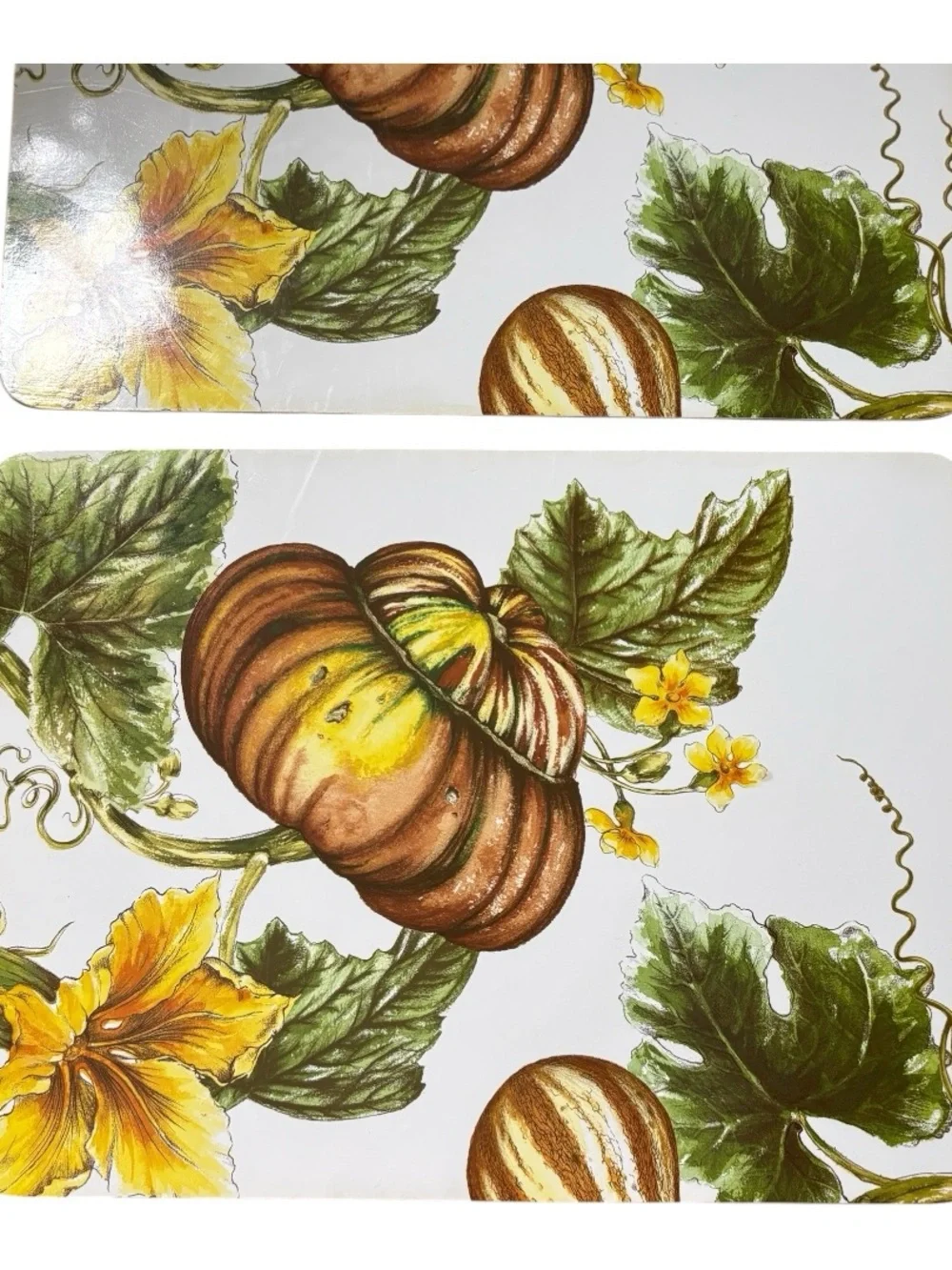 Williams Sonoma Vintage Botanical Pumpkin Cork-Back Placemats Set of 4 Fall
